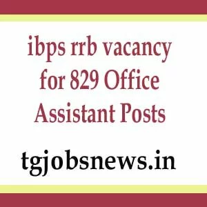 ibps rrb vacancy for 829 Office Assistant Posts