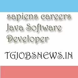 sapiens careers Java Software Developer 