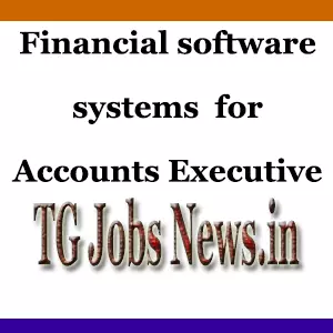 Financial Software systems career