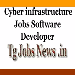 cyber infrastructure jobs for Software Developer