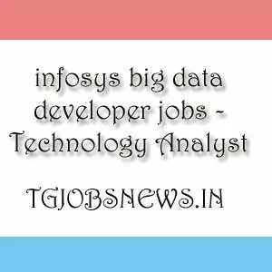infosys big data jobs - Technology Analyst