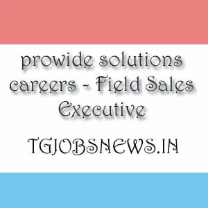 prowide solutions careers - Field Sales Executive
