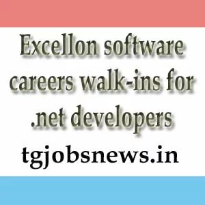 excellon software careers walk-ins for .net developers