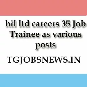 hil ltd careers 35 Job Trainee as various posts