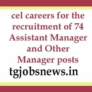 cel careers for the recruitment of 74 Assistant Manager and Other Manager posts
