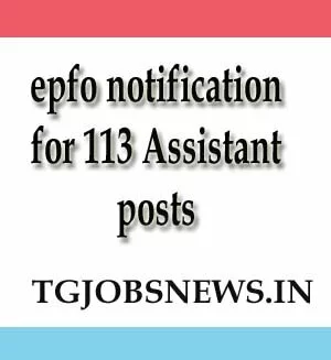 epfo notification for 113 Assistant posts