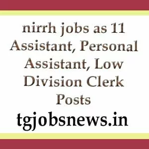 nirrh jobs as 11 Assistant, Personal Assistant, Low Division Clerk Posts