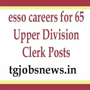 esso careers for 65 Upper Division Clerk Posts
