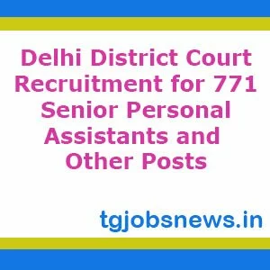 Delhi District Court Recruitment for 771 Senior Personal Assistants and Other Posts