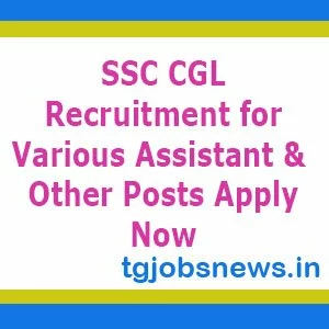 SSC CGL Recruitment for Various Assistant & Other Posts Apply Now