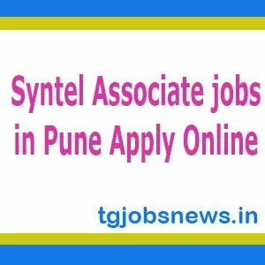 Syntel Associate jobs in Pune Apply Online