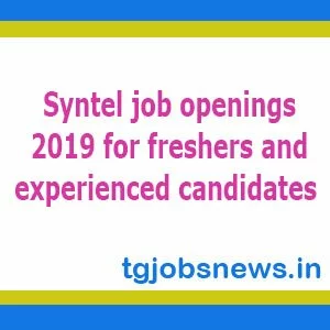 Syntel job openings 2019 for freshers and experienced candidates