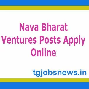 nava bharat ventures careers